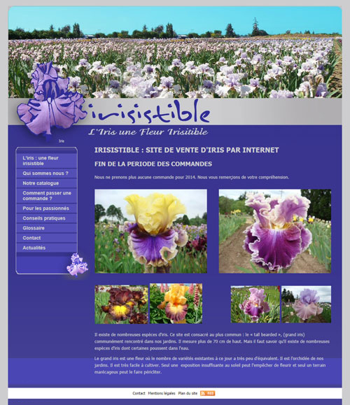 Irisistible