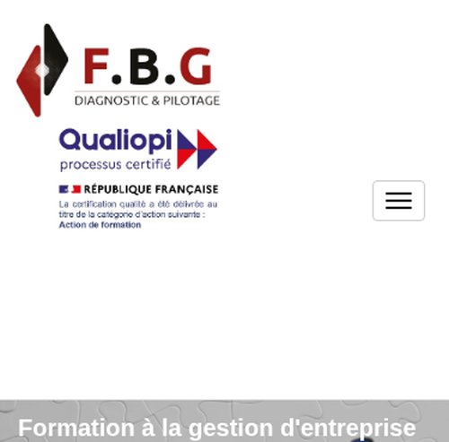 FBG Diagnostic & Pilotageversion mobile