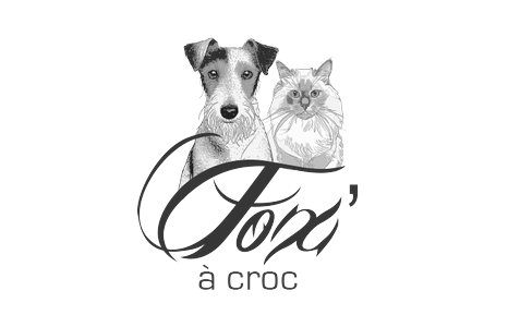 Fox A Croc Fox A Croc
