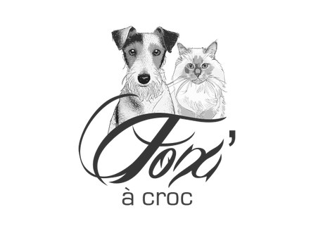 Fox A Croc