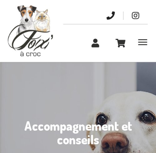 Fox A Crocversion mobile
