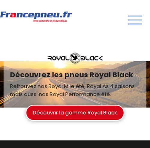 FrancePneuversion mobile