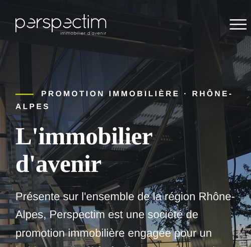 Perspectimversion mobile